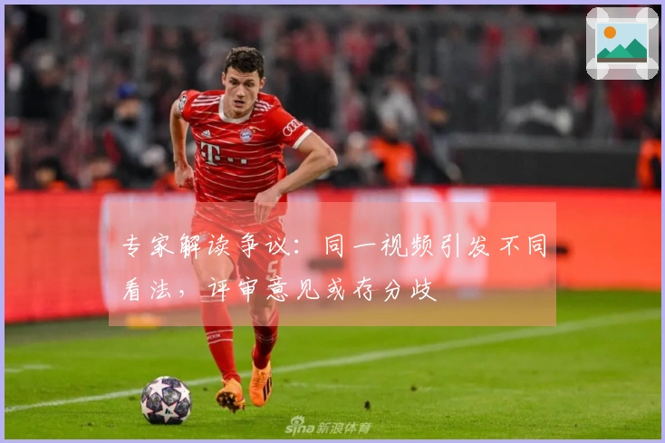 专家解读争议：同一视频引发不同看法，评审意见或存分歧