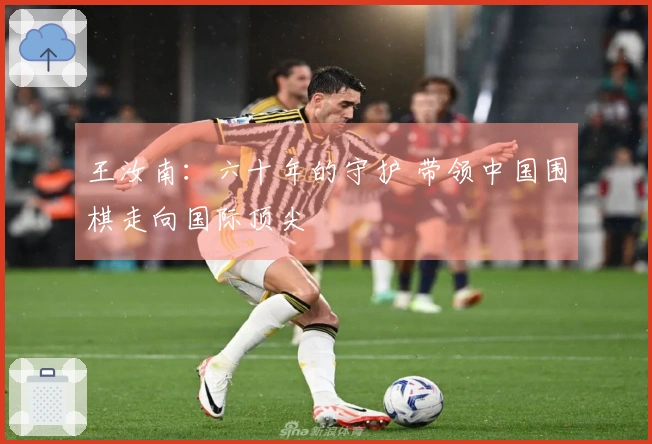 王汝南：六十年的守护 带领中国围棋走向国际顶尖