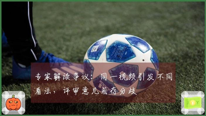 专家解读争议：同一视频引发不同看法，评审意见或存分歧