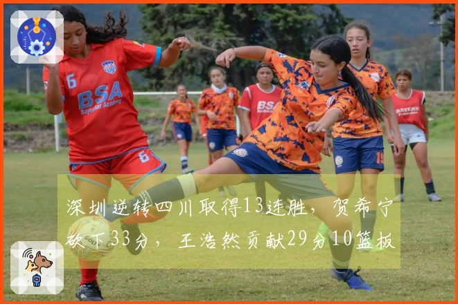 深圳逆转四川取得13连胜，贺希宁砍下33分，王浩然贡献29分10篮板